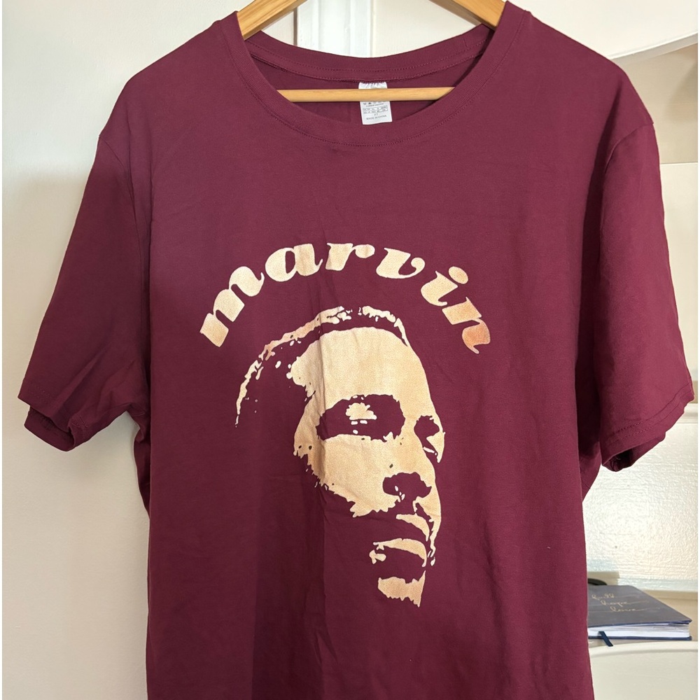 Marvin Gaye (one of the greatest soul singers of all time)